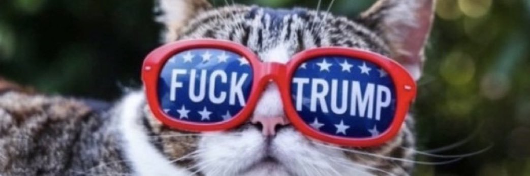 catfusione's profile banner image