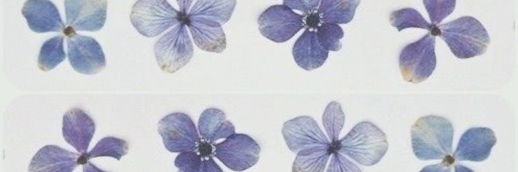 alysswhiteman's profile banner image