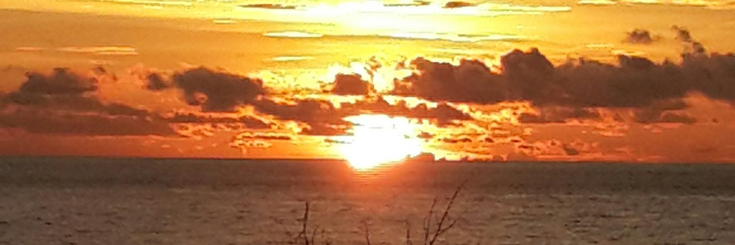 Inca_binzar's profile banner image