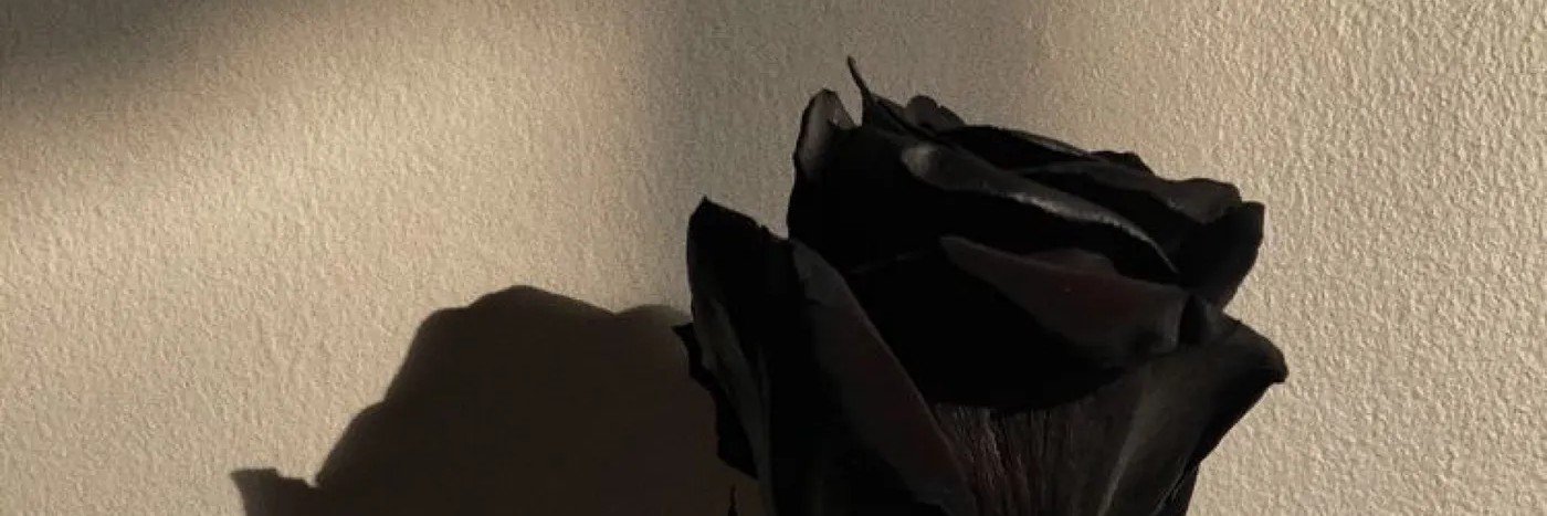 _mawarhitam77's profile banner image