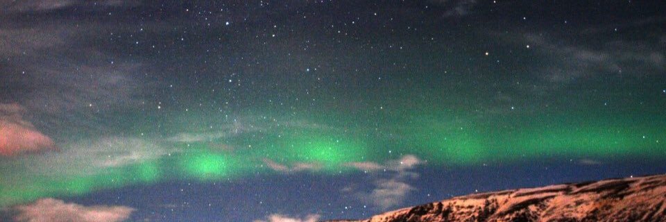 Toothfairy_81's profile banner image