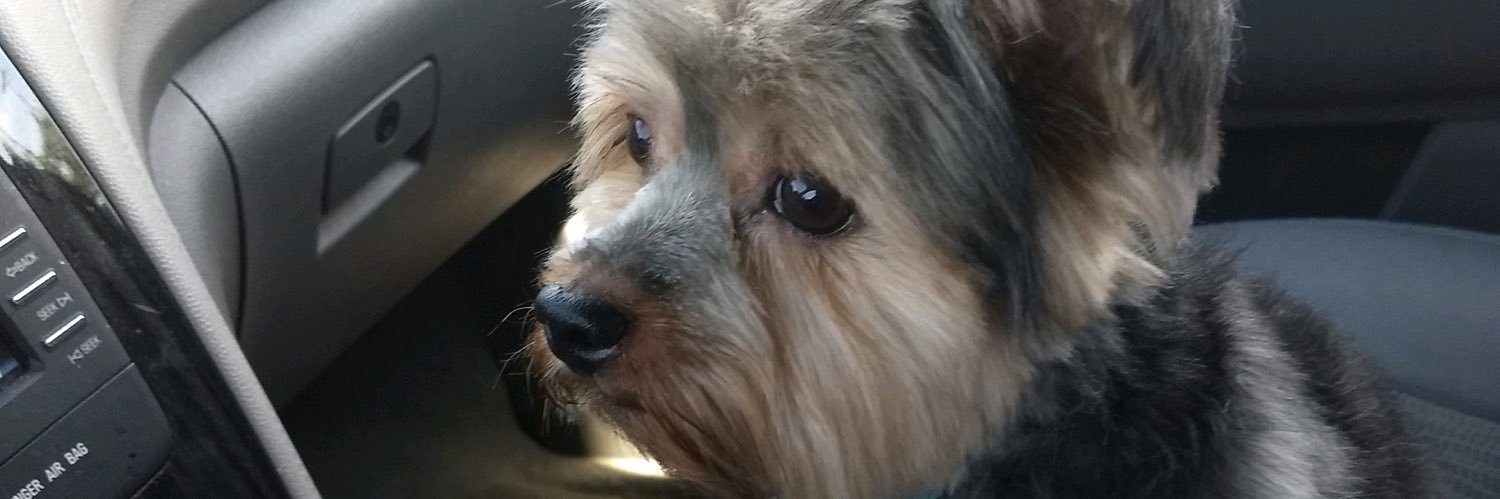 5th_blckpurl's profile banner image