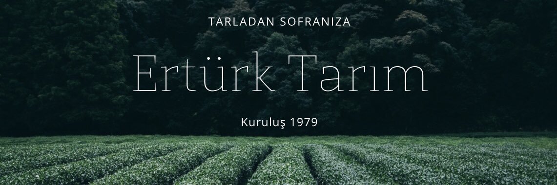 erman_erturk's profile banner image