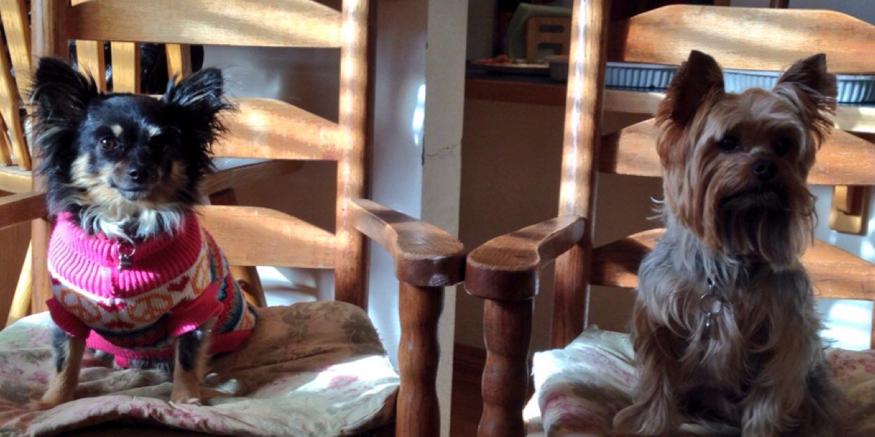 LilMissGemma's profile banner image
