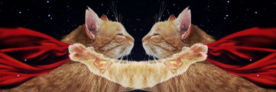 H4t4k3's profile banner image