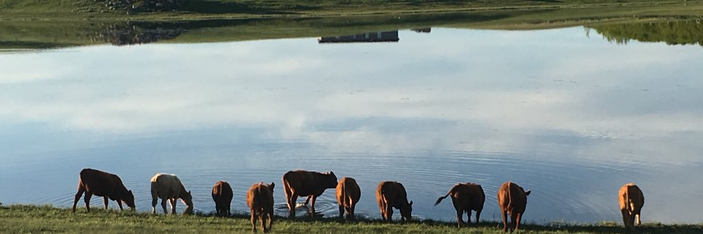 jenngates33's profile banner image