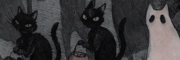 firiipi's profile banner image