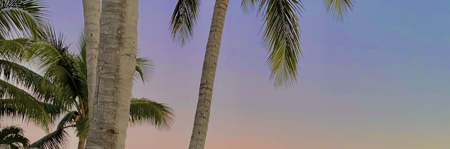 de_bee_'s profile banner image