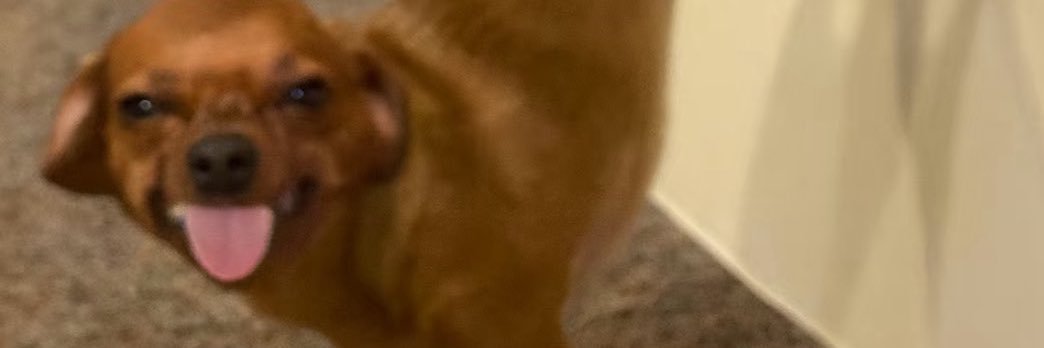 KayLaKayxx's profile banner image