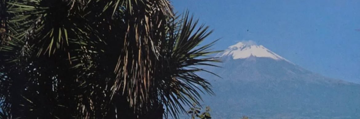 sonofcomely's profile banner image