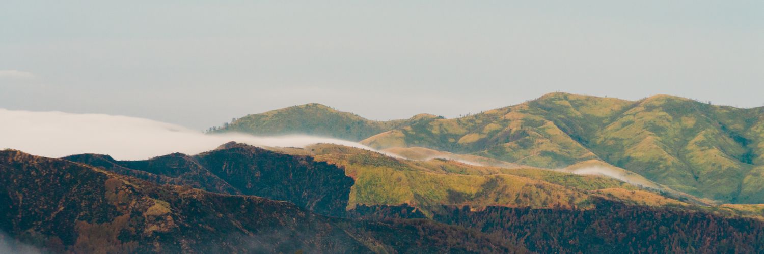 rapippp's profile banner image