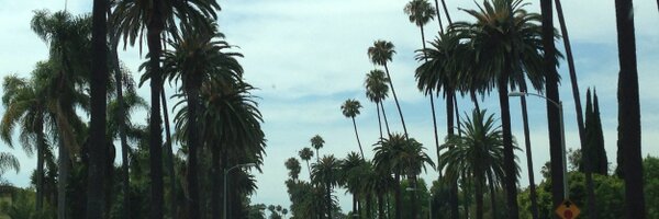 AteMara Profile Banner