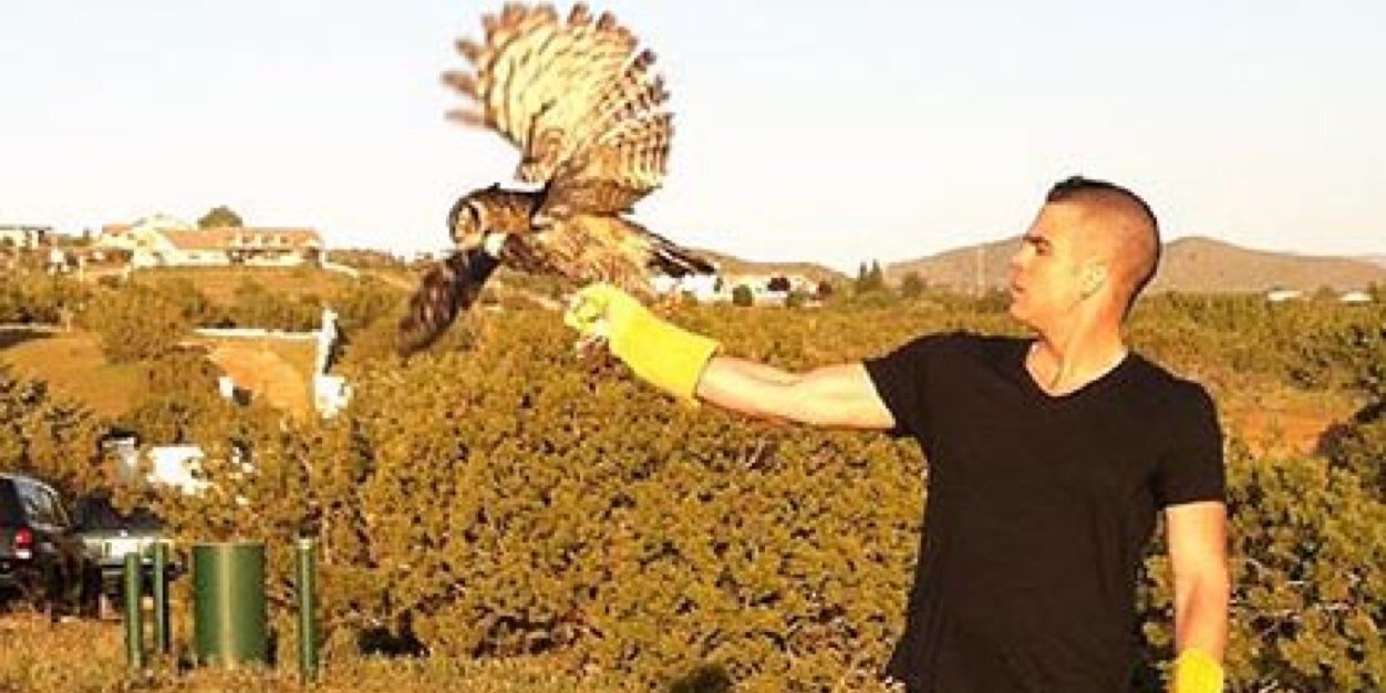 FakeSalling's profile banner image