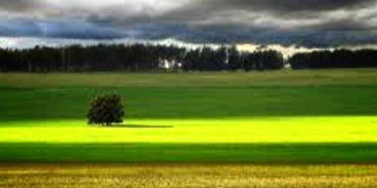 ป๋มชื่อคอนเน่ฮับ banner