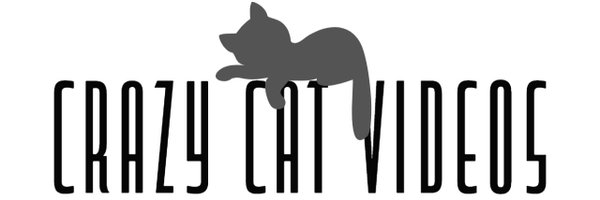 crazycatvid Profile Banner