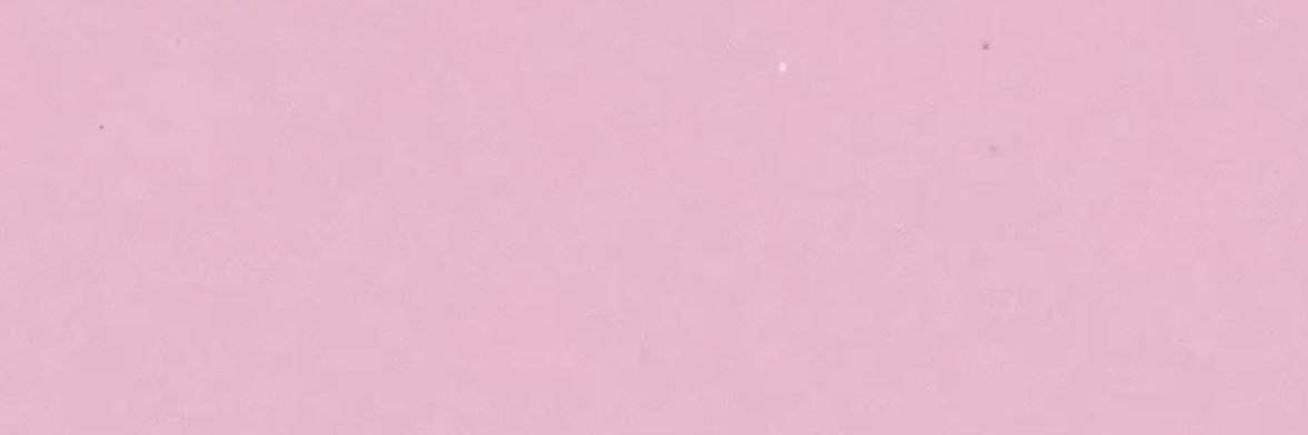 lis banner
