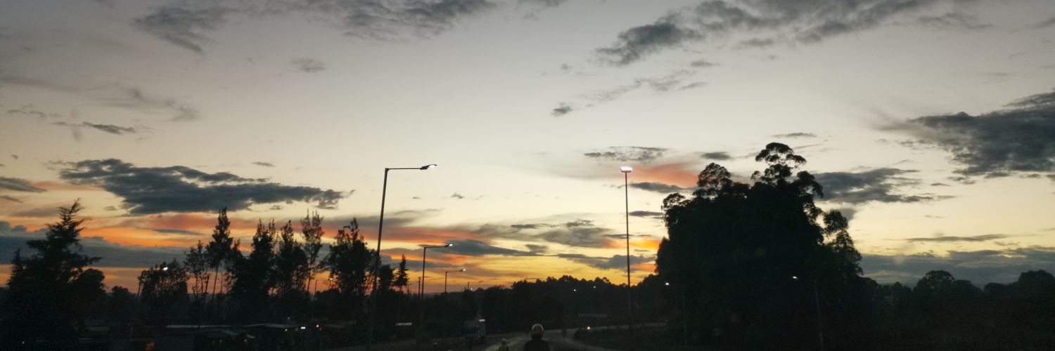 LarsRols's profile banner image