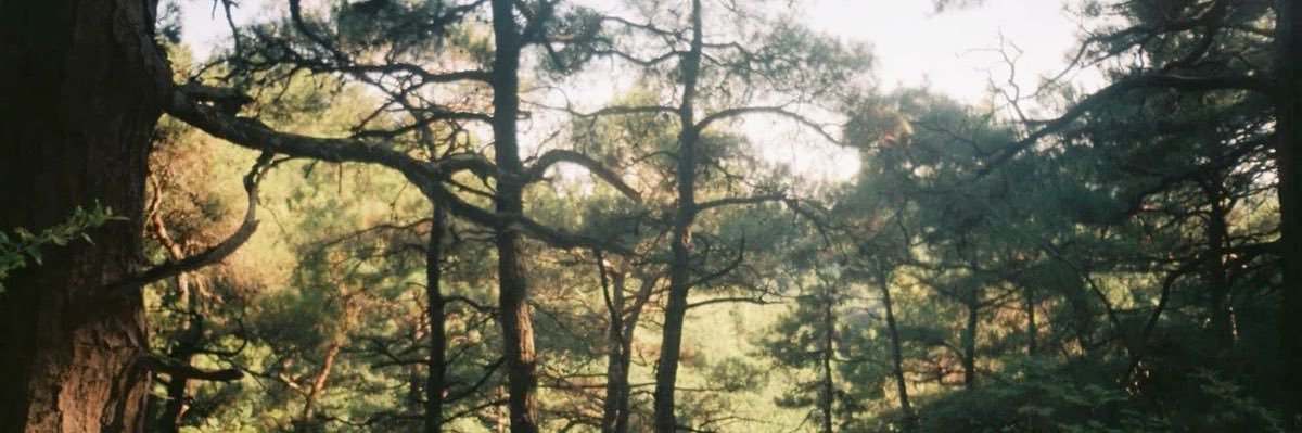 smashingoni0ns's profile banner image