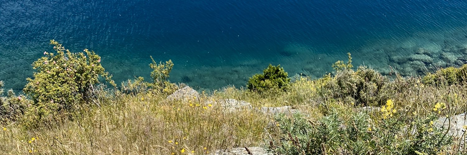 Sam Judsön 🌹 banner
