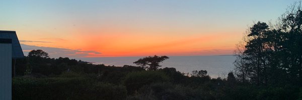 CarlHammerFX Profile Banner