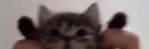 solangebravo_'s profile banner image