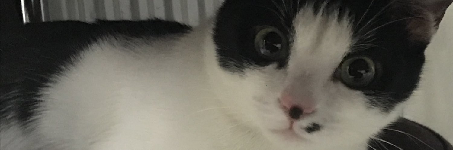 bisikletszblk's profile banner image
