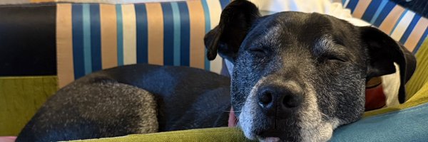 LeStripe Profile Banner