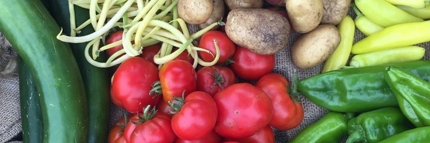 Rooted in Hull banner