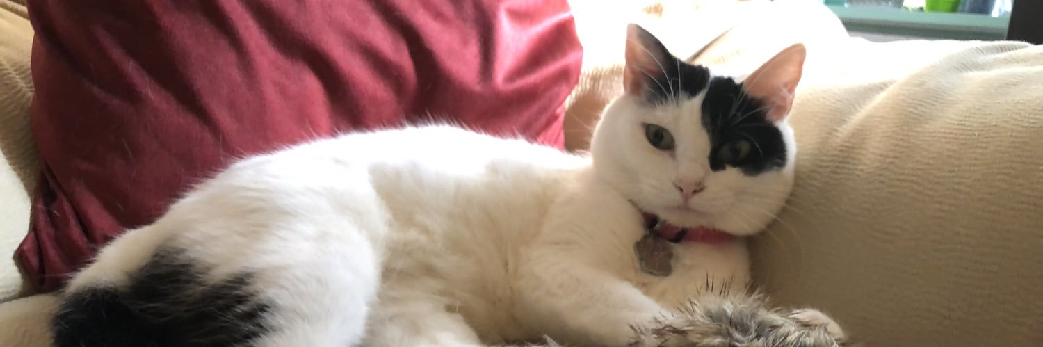 Teresa Leandro 🇵🇹🐾 banner