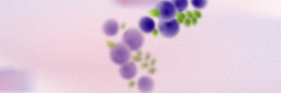sglcm1015's profile banner image