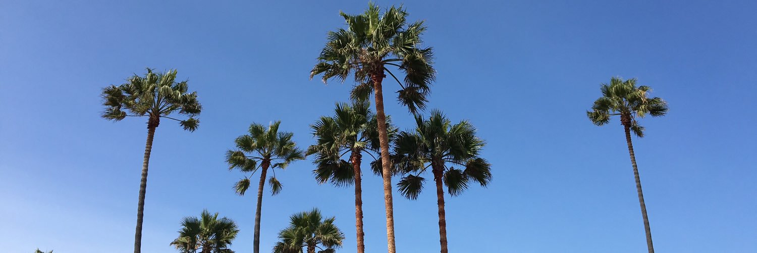 andersjlindberg's profile banner image