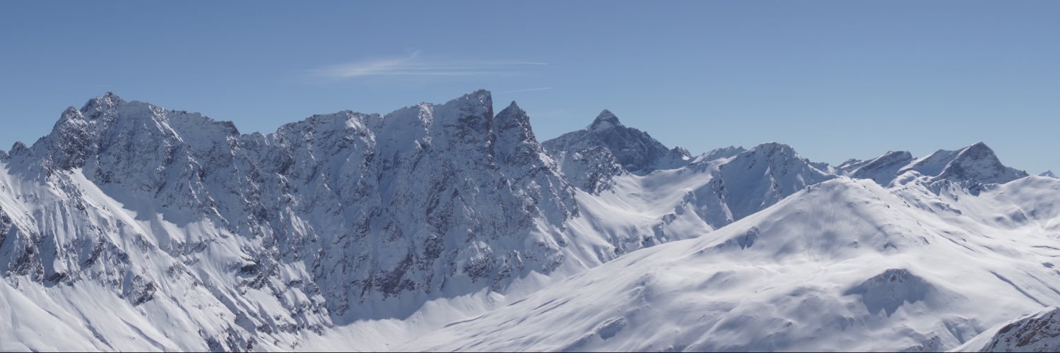 Mechtild Walser-Ertel banner