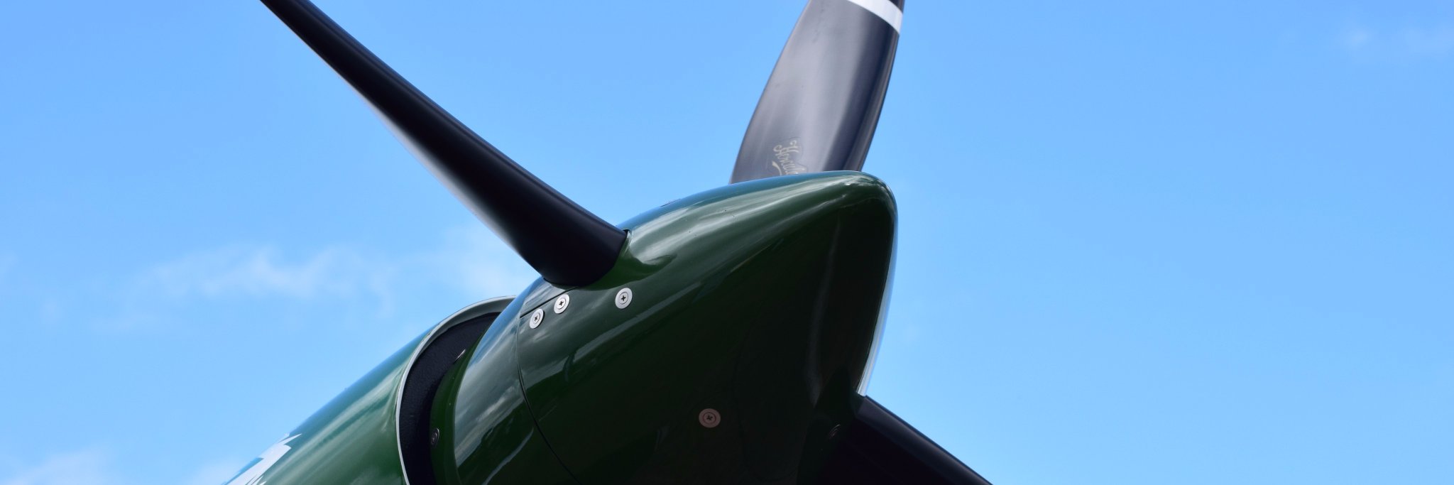 Electroflight banner
