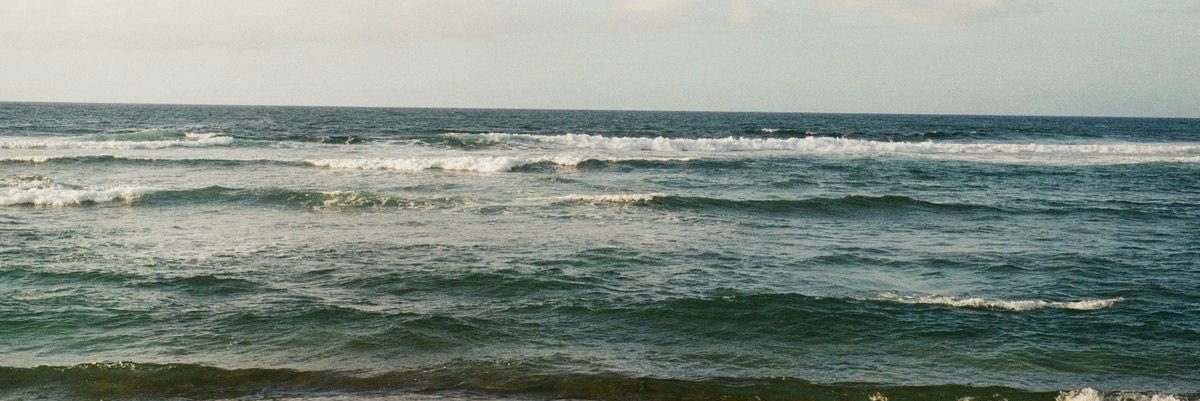 whimsycIover's profile banner image