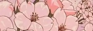 fuwaaaah's profile banner image