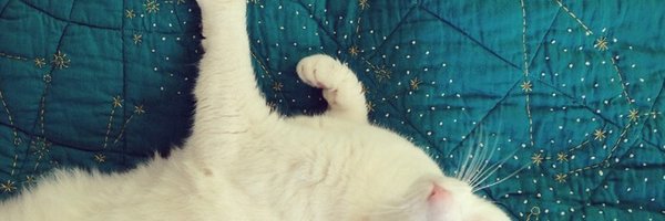 HapticLab Profile Banner