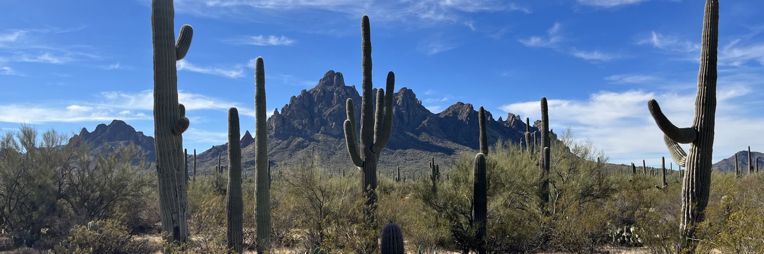 DesertFriedJeep's profile banner image