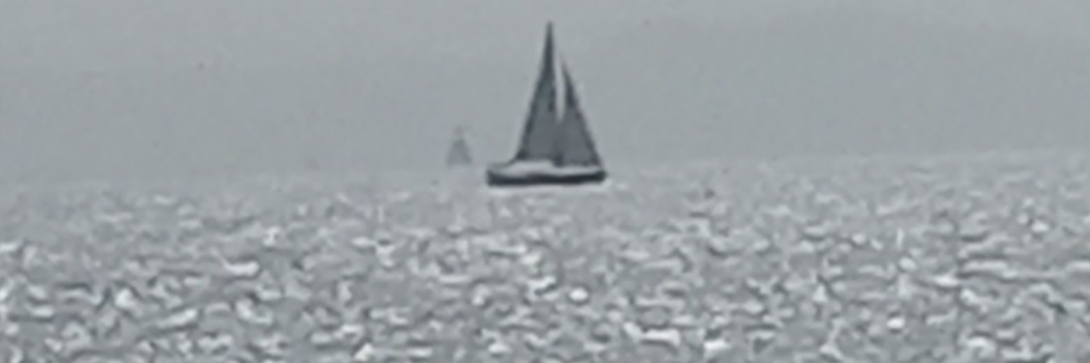 mlaurici's profile banner image