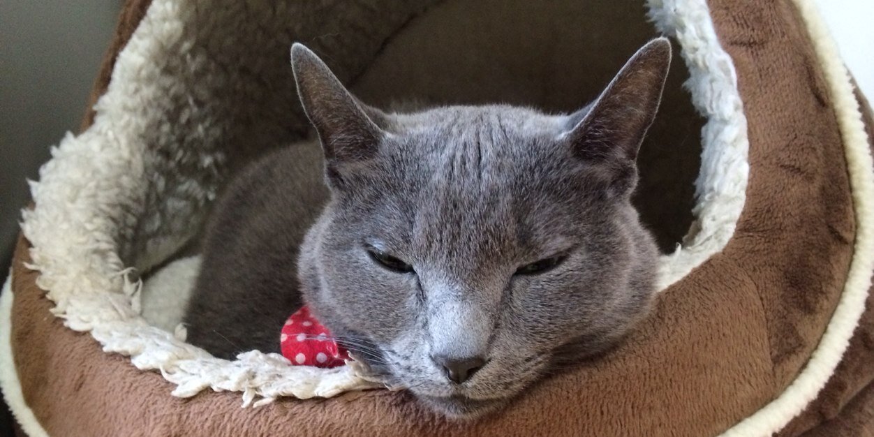 トシヒロム banner