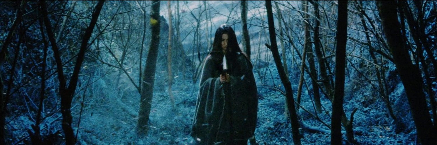 Bovril Lavigne banner