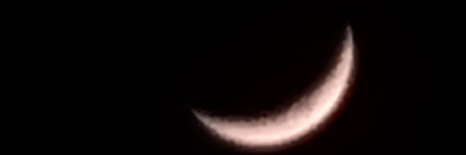 ilavia95's profile banner image