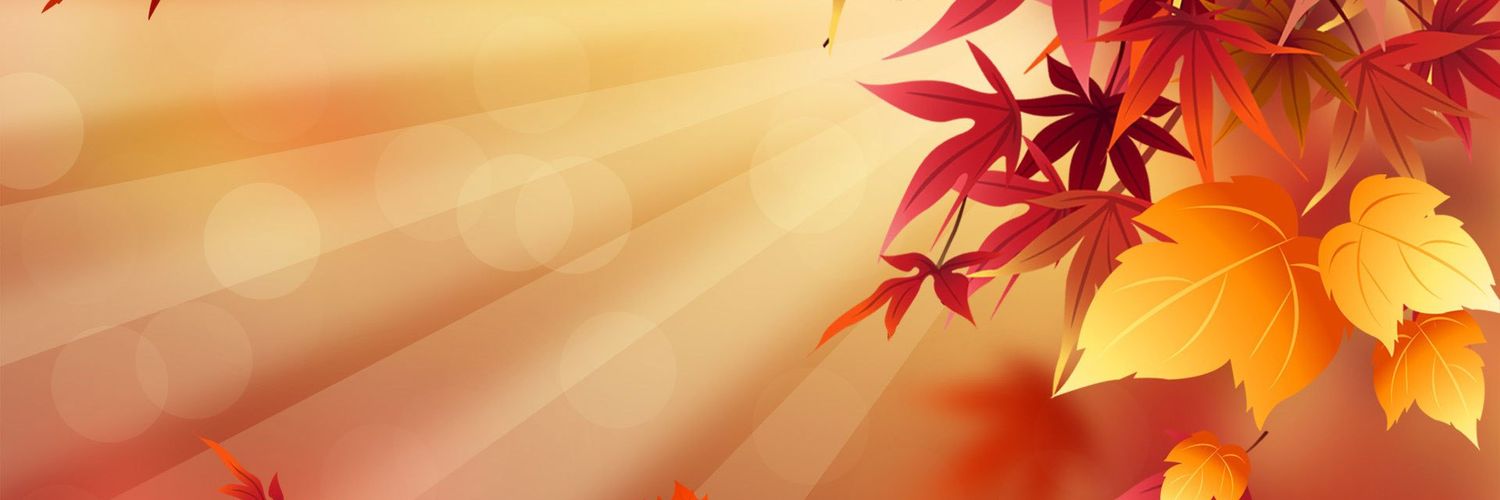 chenellemiller1's profile banner image