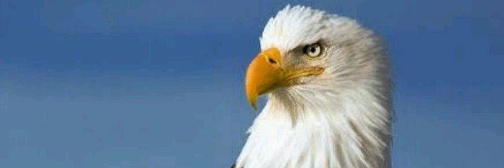 Aleffsds's profile banner image