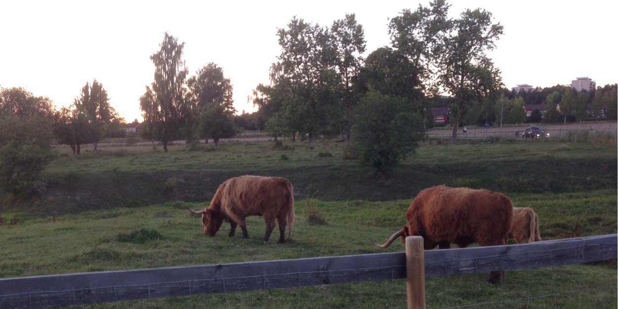 Ivan Khartsev banner