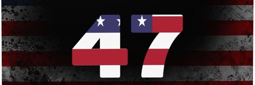 thedingerdemon's profile banner image
