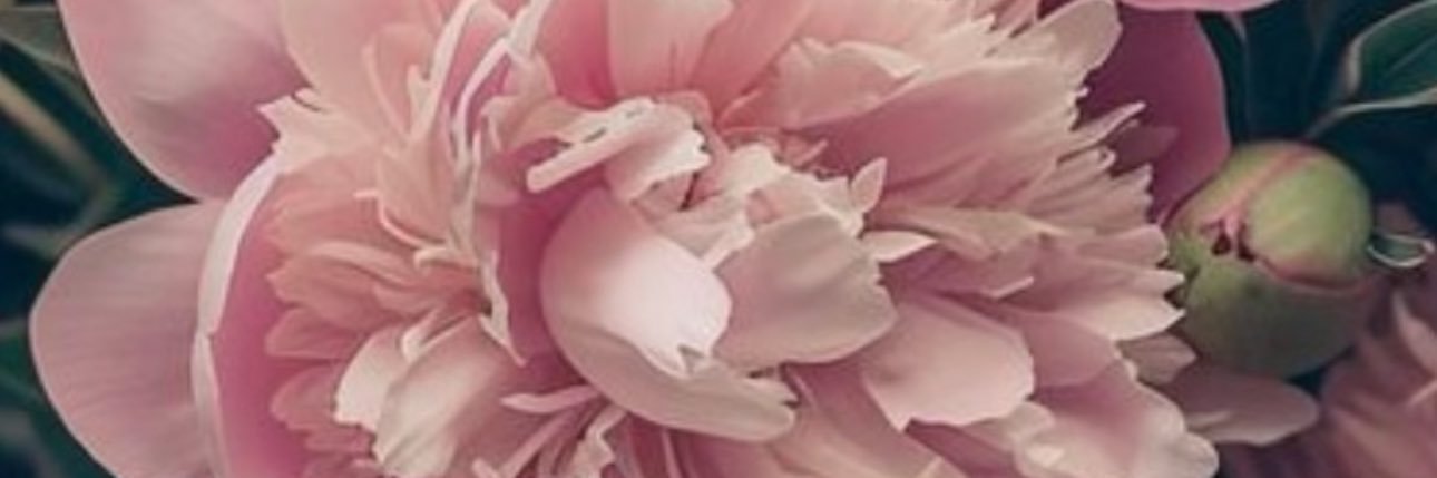 ErinLoden's profile banner image