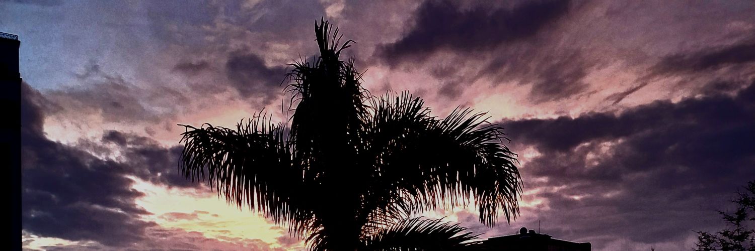 LECuento's profile banner image