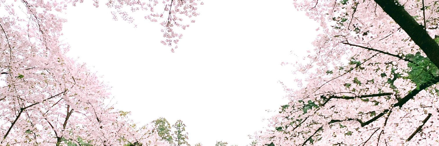 0141_apple's profile banner image