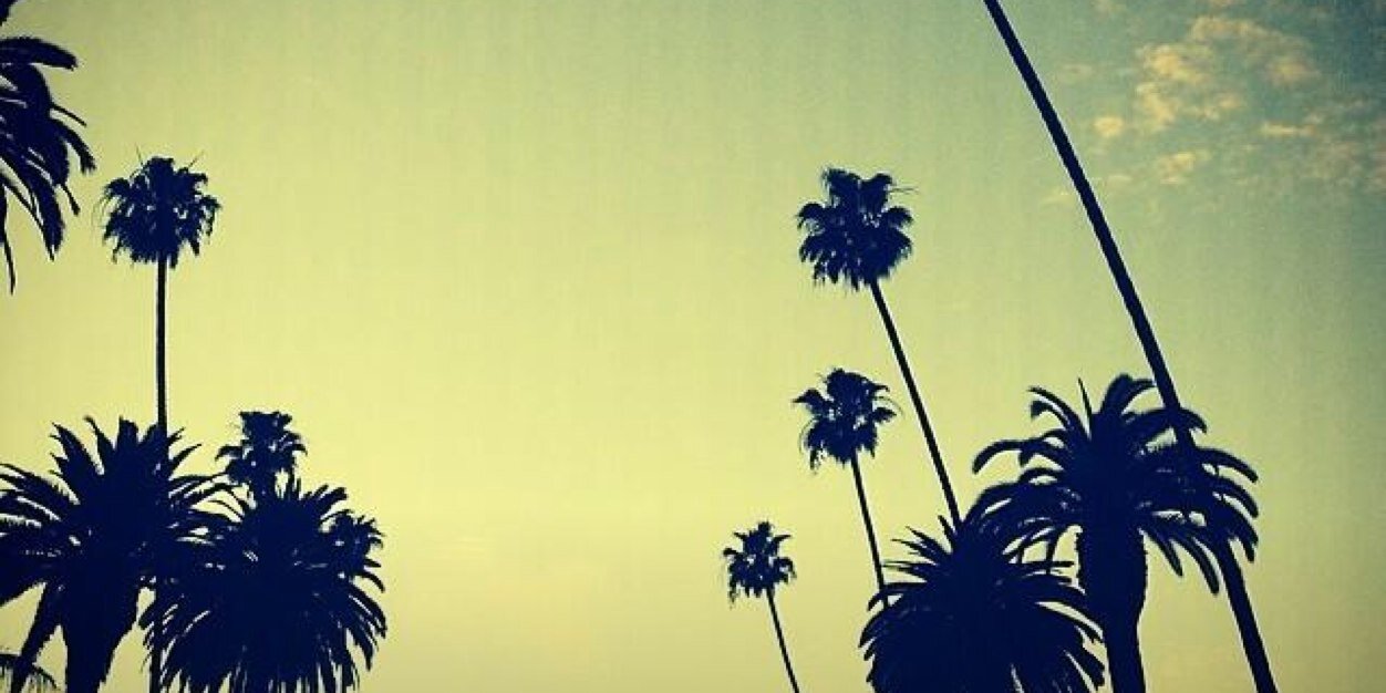 larlarnelson's profile banner image