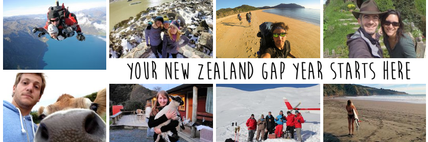 WorkingHolidayNZ banner